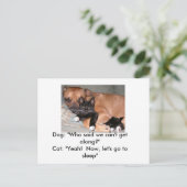 Briefkaart van honden en katten (Staand voorkant)