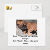 Briefkaart van honden en katten (Voorkant / Achterkant)