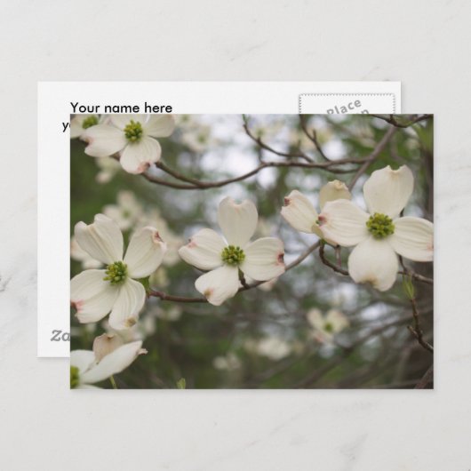 briefkaart van hondenhout (Voorkant / Achterkant)