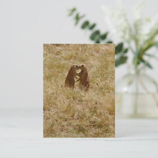 Briefkaart van hondshonden (Staand voorkant)