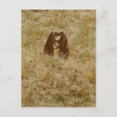 Briefkaart van hondshonden (Voorkant)