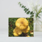 Briefkaart van Honey Fungus Mushroom (Staand voorkant)