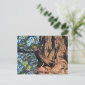 Briefkaart van honingvogels (Staand voorkant)