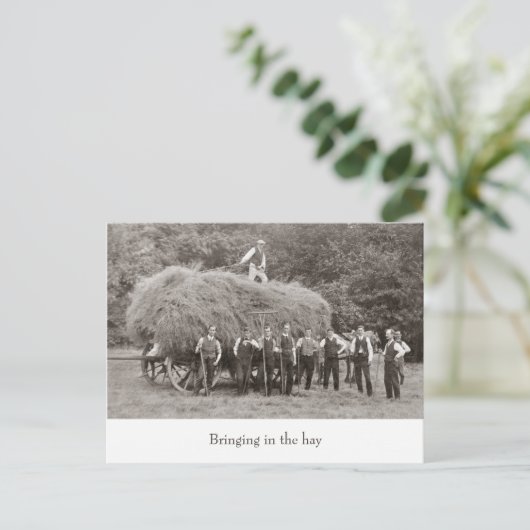 briefkaart van hooiwagen (Staand voorkant)