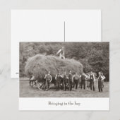 briefkaart van  hooiwagen (Voorkant / Achterkant)
