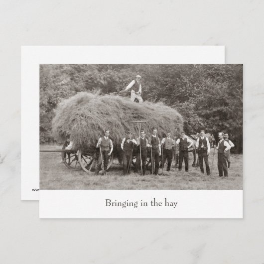 briefkaart van  hooiwagen (Voorkant / Achterkant)