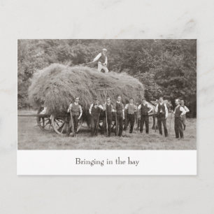 briefkaart van  hooiwagen