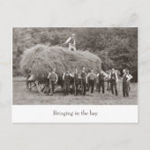 briefkaart van  hooiwagen (Voorkant)