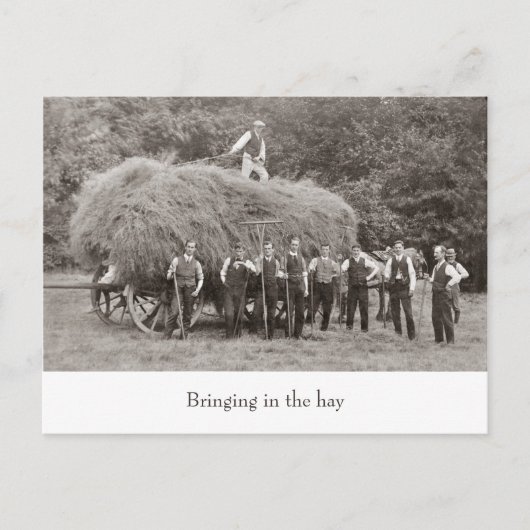 briefkaart van  hooiwagen (Voorkant)