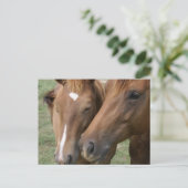 Briefkaart van Horse Nuzzle (Staand voorkant)