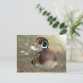 Briefkaart van hout Duck (Staand voorkant)