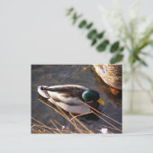 Briefkaart van hout Duck (Staand voorkant)