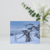 Briefkaart van hout, ingevroren (Staand voorkant)