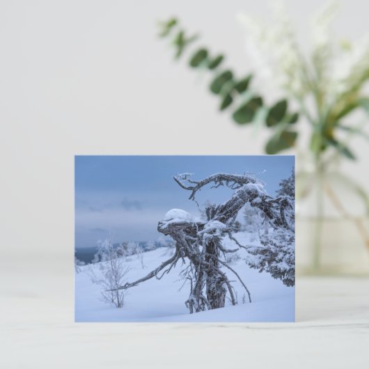 Briefkaart van hout, ingevroren (Staand voorkant)