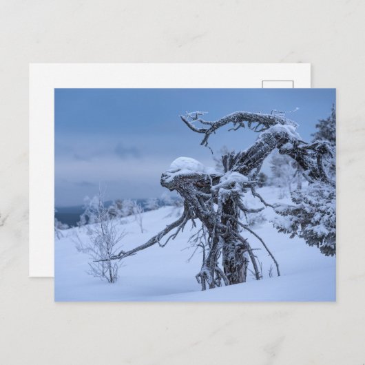 Briefkaart van hout, ingevroren (Voorkant / Achterkant)