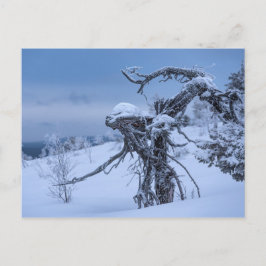 Briefkaart van hout, ingevroren