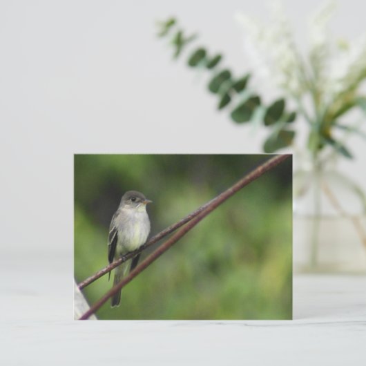 Briefkaart van hout van Peewee (Staand voorkant)