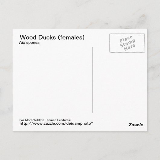 Briefkaart van hout (vrouwen) (Achterkant)