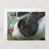 Briefkaart van Humbug (Voorkant / Achterkant)