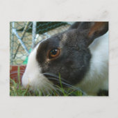 Briefkaart van Humbug (Voorkant)