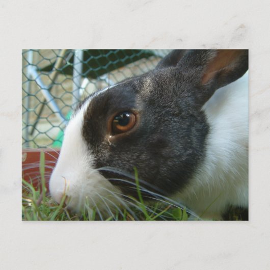 Briefkaart van Humbug (Voorkant)