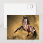 Briefkaart van Indische paarden (Voorkant / Achterkant)