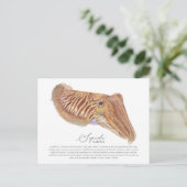 Briefkaart van inktvis (Staand voorkant)