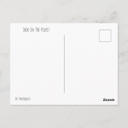 Briefkaart van Jack-in-the-Pulpit (Achterkant)