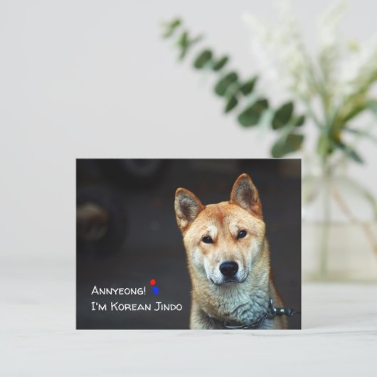 Briefkaart van Japanse hond (Staand voorkant)