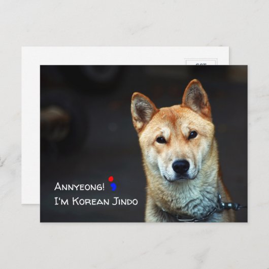 Briefkaart van Japanse hond (Voorkant / Achterkant)