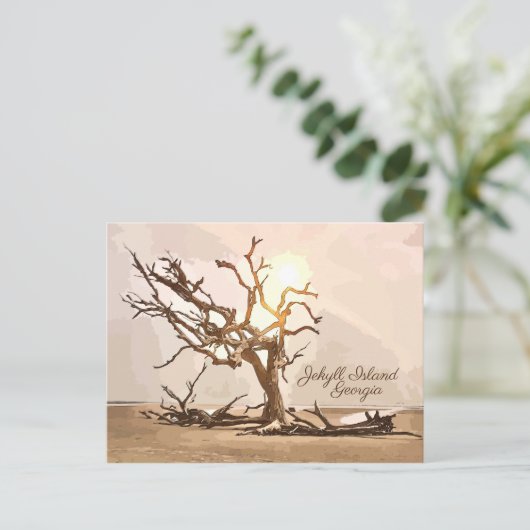 Briefkaart van Jekyll Island Georgia (Staand voorkant)