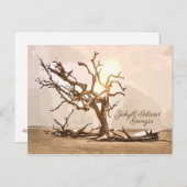 Briefkaart van Jekyll Island Georgia (Voorkant / Achterkant)