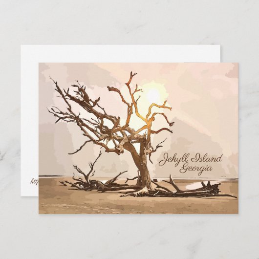 Briefkaart van Jekyll Island Georgia (Voorkant / Achterkant)