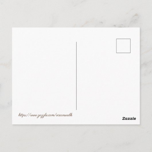 Briefkaart van Jekyll Island Georgia (Achterkant)