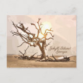 Briefkaart van Jekyll Island Georgia (Voorkant)