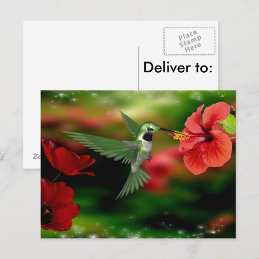 Briefkaart van kalkoenen (Voorkant / Achterkant)