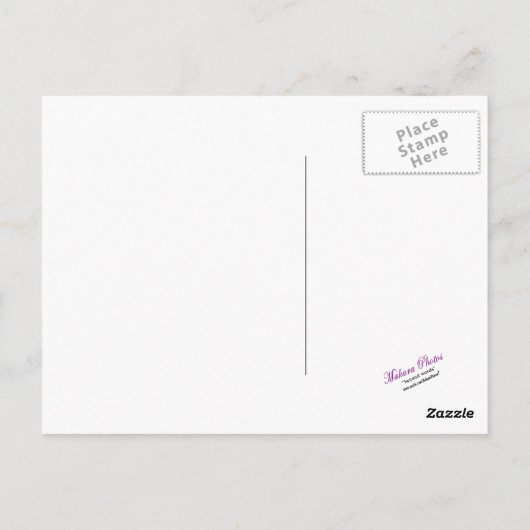 Briefkaart van kalkoenen (Achterkant)