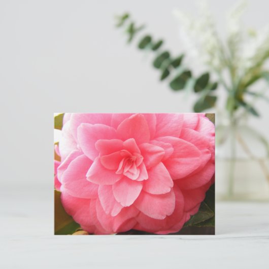 Briefkaart van kamellia (Staand voorkant)