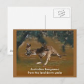 Briefkaart van Kangaroo (Voorkant / Achterkant)