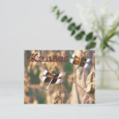 Briefkaart van Kansas: likkerlichten (Staand voorkant)