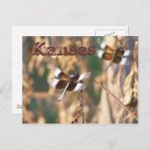 Briefkaart van Kansas: likkerlichten (Voorkant / Achterkant)