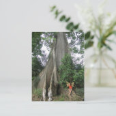 Briefkaart van Kapok-boom en meisje met fee (Staand voorkant)