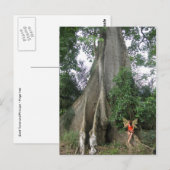 Briefkaart van Kapok-boom en meisje met fee (Voorkant / Achterkant)