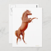 Briefkaart van kastanjepaarden (Voorkant / Achterkant)