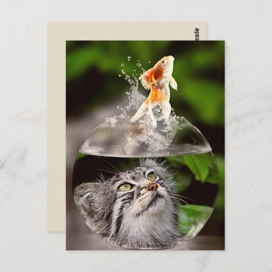 briefkaart van kat en goudvis (Voorkant / Achterkant)