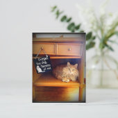 briefkaart van katten (Staand voorkant)