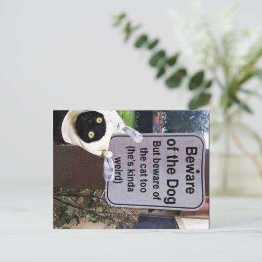 briefkaart van katten (Staand voorkant)