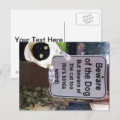 briefkaart van katten (Voorkant / Achterkant)