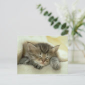 briefkaart van katten (Staand voorkant)