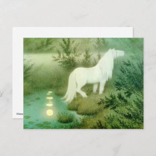 Briefkaart van Kelpie-pantserwerk voor waterpaarde (Voorkant / Achterkant)